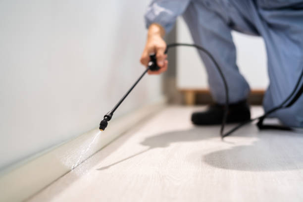 Licensed Termite Control service in Elton, LA - Nex Pest Control