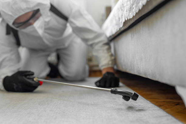Professional Termite Control technician working in Elton, LA