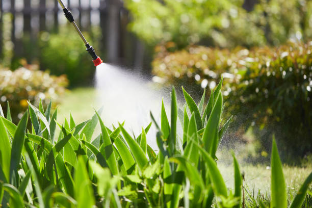 24/7 Emergency Termite Control experts in Elton, LA
