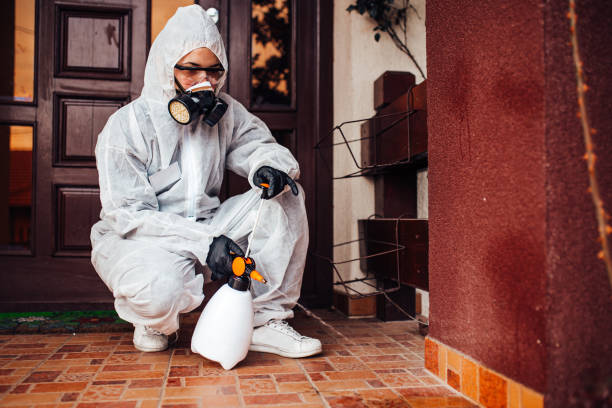 Reliable Termite Control contractor in Elton, LA by Nex Pest Control