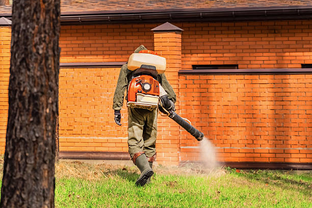 Top rated local Termite Control specialists in Elton, LA